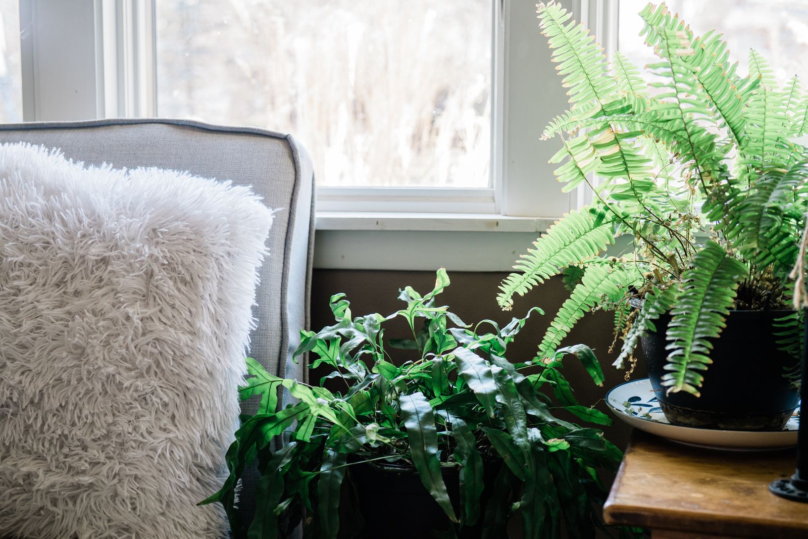 Soft light through a window at home